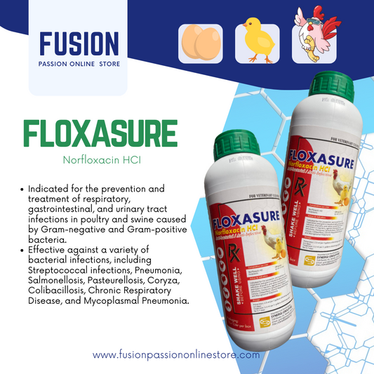 FLOXASURE - Norfloxacin Antibacterial | For Veterinary use only
