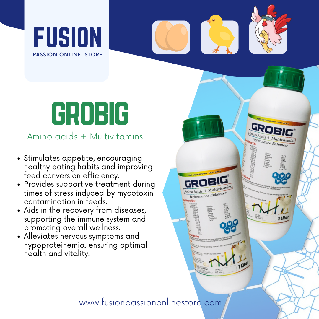 GROBIG - Amino acid + Multivitamins | For Veterinary Use only