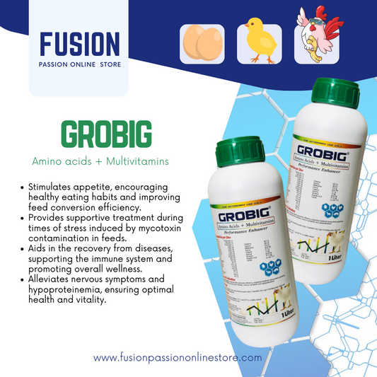 GROBIG - Amino acid + Multivitamins | For Veterinary Use only